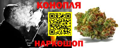 твердый Будённовск