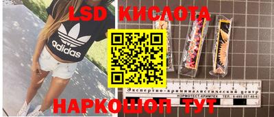 твердый Будённовск